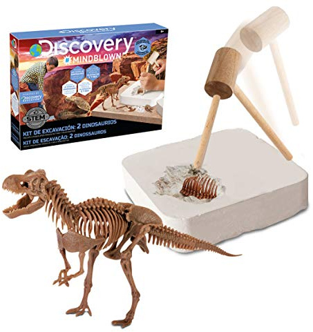 Discovery- Kit Juguete, Juego arqueología, arqueojugando, excavaciones fosiles, Esqueletos, desenterrar Dinosaurios (6000445)