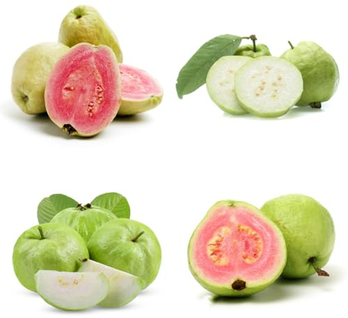 semillas de guayaba fruta fresca, decoración salón árboles frutales columnares, plantas exóticas resistentes Semillas de bancal elevado, decoración de jardín para exterior, Árbol 10pcs