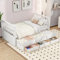 Ctastay Kinderbett Einzelbett Stauraumbett 90x200 cm, Bett Holzbett Tagesbett mit Stauraum Schubladen & Ausziehbares Rollbett, Jugendbett Familienbett Gästebett mit Lattenrost, Weiß, Ohne Matratze
