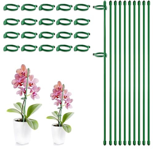 LONZIKP 10 Piezas Soporte para Plantas, con 20 Clips fijos, Ajustable tutores para orquídeas, Plantas de Interior, Rosas, Tomates, Tallos de Plantas, Clips para Plantas, Plant Stakes (30 cm) (Verde)