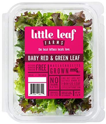 Little Leaf Farms Crispy Baby Red & Green Leaf Lettuce, 4 Ounce