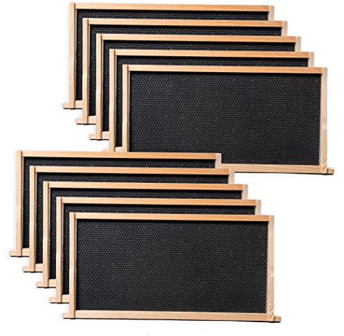 BeeCastle Bienenstockrahmen und Wachsfundament für tiefe Brutbienenstöcke mit Bienenstockrahmen aus Holz und 100 % Bienenwachs beschichtetem Fundament, 24,9 cm (9 1/8 Zoll) (schwarz), 10 Stück