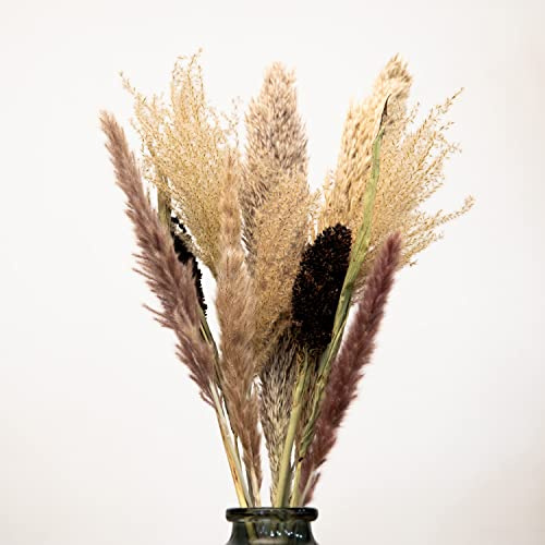 Pampasgras Strauß, getrocknet, ca. 75cm lang, Trockenblumenstrauß zum dekorieren, Boho Deko, DIY, Hochzeit, Events