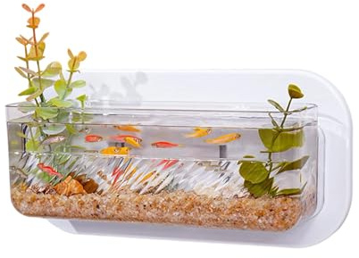 HENYGEN Transparents Fishes Tanks Hydroponic Planter Wall Mounted Fish Tanks Container for Hydroponic Plant and Decoration Wall Mounted Plant Pots