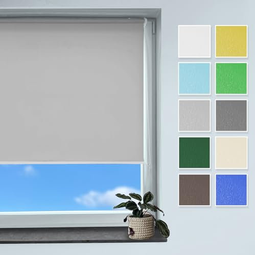 Rollmayer Classic Rollo Klemmfix ohne Bohren, Seitenzugrollo Rollo für Fenster und Tür (Classic Grau, B100cm x H150cm)