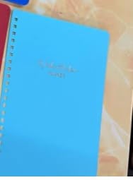 BIROYAL Undatierter Wochenplaner | Terminplaner A5 | wöchentlicher Terminkalender mit To-Do-Liste, großem Notizfeld | 52 Blatt Terminplaner auf Deutsch Ringbuch mit Hardcover