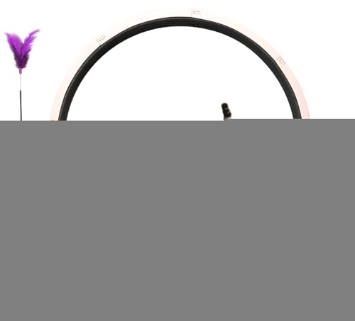 Rueda para correr para gatos, rueda de ejercicio para gatos, rueda de ejercicio para gatos, equipo de entrenamiento silencioso para gatitos, ejercitador de rueda grande para gatos en interiores