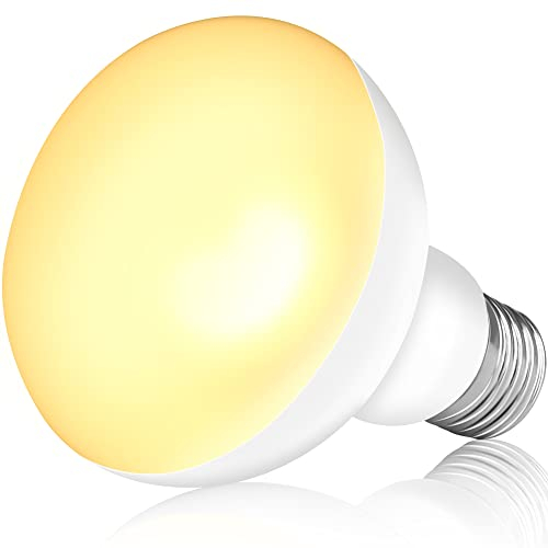 NEPTONION Reptilienwärmelampe, 75W UV-Wärmelampe, Tageslicht-Spotlampe für Eidechsen, Schildkröten, Bartagamen (E26, 220V)