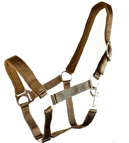 Brama West Halfter Pferd River - Stallhalfter Pferdehalfter - Einfach - Gepolstert (Braun, Cob)