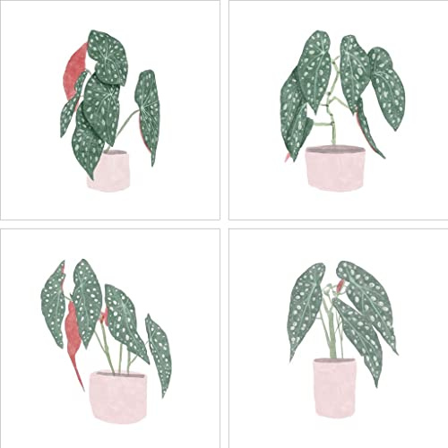 Polka Dot Begonia by Bannarot, 4 Piece Unframed Art Print Set, 12 X 12 Inches Each, Floral Art