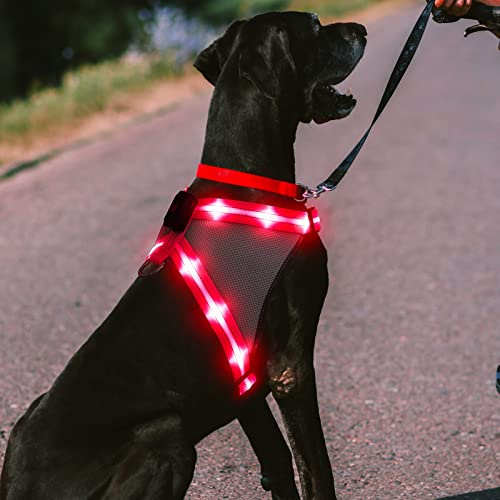 ChalkLit Light Up Dog Harness, Reflective Led Dog Harness Glow-in-The-Dark for Night Walking, USB Rechargeable Lighted Dog Safety Vest (Pink, Small)