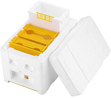 Biodling Pollination Box, Mini Bikupa Biodling King Box Biodlartillbehör Queen Breeding Box för Trädgårdspollinering 9,45 X 5,83 X 6,50 Tum