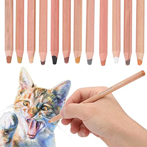 OVAQUIXI 12 Pièces Crayons Pastel de Portrait, 12 Crayons Pastel de Teinte de Peau Colorée Portrait Toner Peint à la Main pour la Peinture de Dessin au Fusain