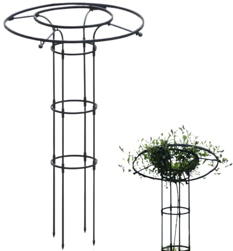 Whyzsjnclg Traliccio per Piante Rampicanti All'aperto, Traliccio Obelisco da Giardino Alto 47, 2, Giardino A 3 Livelli A Forma di Ombrello, Pianta in Acciaio per Interni, per Piante Rampicanti