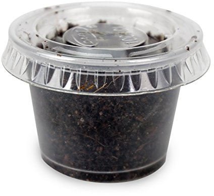 Josh's Frogs Black Soldier Fly Larvae (50 Count - Small)