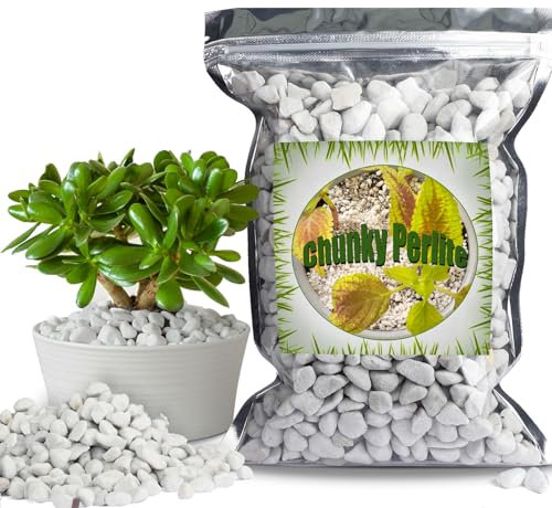 Organic Chunky Perlite for Plants (0.4-0.8 in Diameter), Natural Horticultural Soil Additive Conditioner Mix, Improve Drainage and Ventilation, Enhance Soil Health and Root Growth (2L)