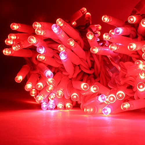 Luccika Stringa Catena di luci Natale a LED Professionale, MaxiLed da 8mm, Flash, per Giardini Negozi Bar, Esterno (Rosso con Flash Bianco Ghiaccio, 30 Metri - 300 LED)