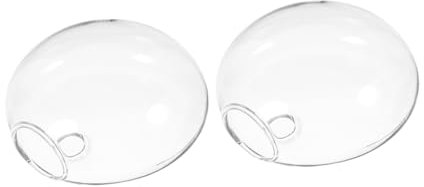 EXAOMBLE 2pièces Vase Suspendu Verre Transparent pour Plantes Intérieur Support Hydroponique Mural Décoration Unique pour Votre Maison Et Jardin