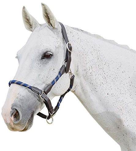 Kincade Leather Rope Headcollar Navy/Brown Full
