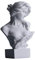 LCCCK Statue de Buste de la mythologie Grecque de 15,2 cm de Haut, Statues d'artémi, Figurines de déesse Romaine, utilisées pour la Pratique des Croquis, des Statues et des Sculptures esthétiques