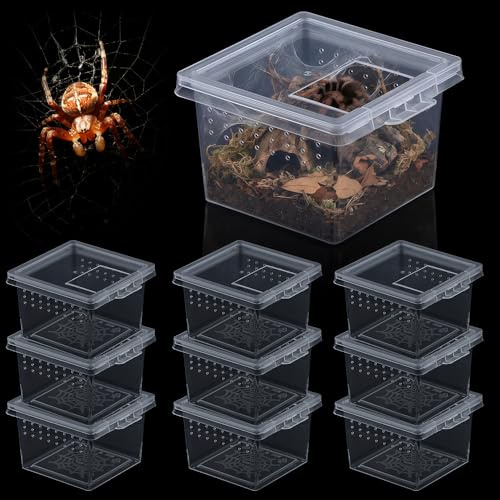10 st insekt spindel terrarier avelslåda kläckningsbehållare liten reptil skorpion centipede akryl avelslåda (liten storlek)