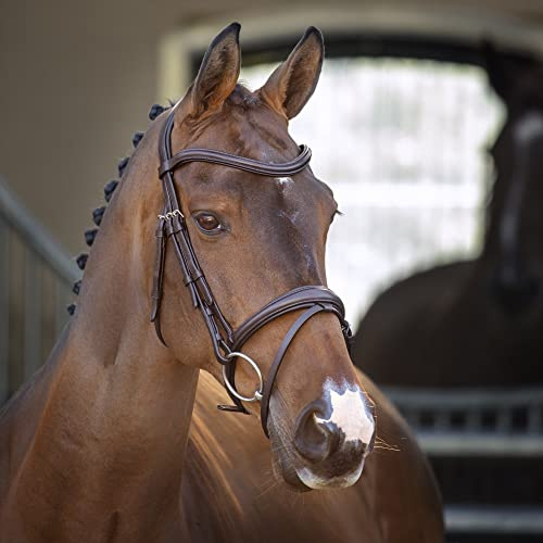 Shires Lusso Padded Raised Flash Bridle - Black or Havana Cob Black
