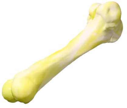 Hueso para Perros, Hueso de Juguete para Perros, Barra de Molar Realista para Perros, Juguete para Masticar Dientes molares para Perros medianos, Juguete Indestructible para masticadores agresivos