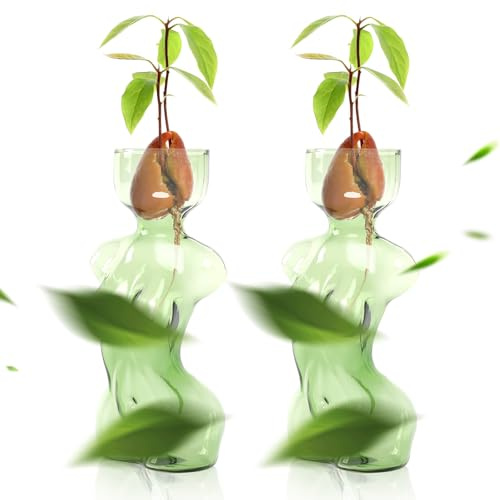 CYZglass Propagation Vases for Plants Plant Propagation Jars Unique Body Avocado Vase Glass Planter Perfect for Seed Starting Water Rooting and Home Decor Gift for Father