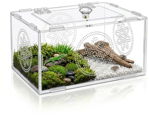 Terrarium Vivarium, Terrarium Reptile, Terrarium Acrylique, Boîte D'Alimentation D'Insectes Polyvalent pour Araignées, Lézards, Grenouilles, Coléoptères et Autres Reptiles et Insectes, 20 x 15 x 10 cm