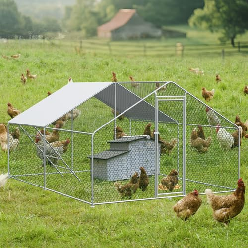 Recinto per piccoli animali – XXL 3 x 4 x 2 m con tettoia, recinto esterno per fino a 10 polli, conigli e piccoli animali, come coniglio o o voliera