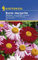 Kiepenkerl 904 Bunte Margerite Mischung (Bunte-Margeritensamen)