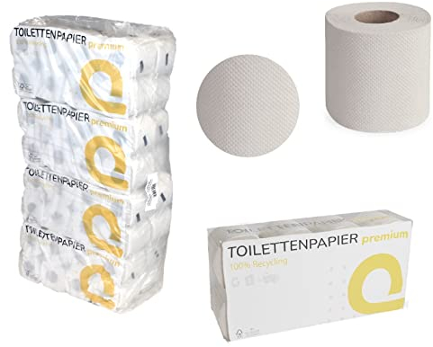 64 Rollen Toilettenpapier | 2-lagig | je 250 Blatt | 100% Recycling | weich + saugfähig | Flächenprägung | Huchtemeier #T2-250-RC65 | Lieferumfang ==> 8 Beutel a 8 Rollen = 64 Rollen im Folienbeutel
