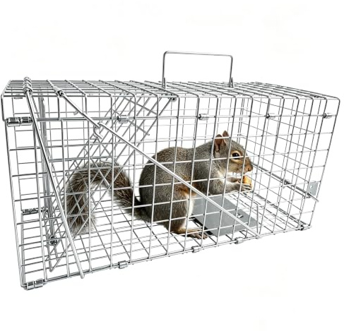Piège à Rat Vivant 43 cm XXXL – Nasse à Rat – Piège à Fouine Loir | Capture sans Tuer l'animal, Réutilisable, pour l'intérieur et l'extérieur, très Grand Format - 43 x 20 x 19 cm