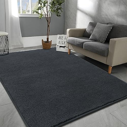Rururug Mikrofaser Teppich 120x170 cm - Waschbarer Kurzflor für Wohnzimmer und Schlafzimmer, Weich Flauschig mit Modernem Einfarbigem Design, Anthrazit
