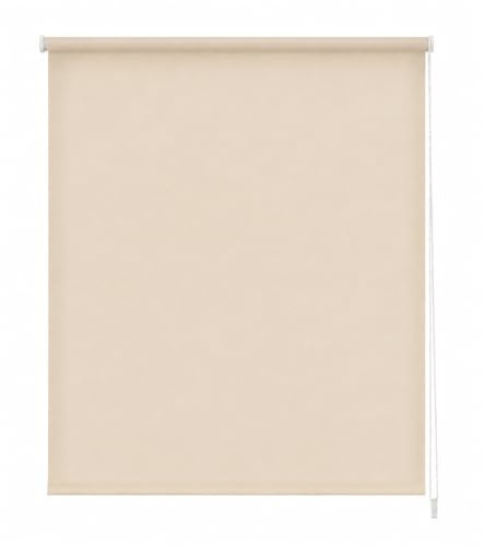 Estoralis Gove Tenda a Rullo Traslucida Liscia, Poliestere, Taupe, 150 x 230 cm