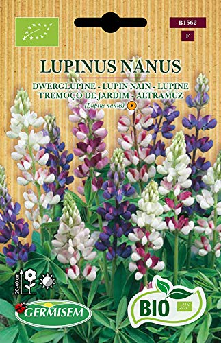 Germisem Biologico Lupinus Nanus Semi di Lupino 1 g