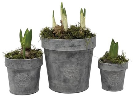 1x Round Zinc Planter - 3 Sizes, Rustic Grey Metal Plant Pot Tub, Kew Gardens Metal Plant Pot, Outdoor Garden Metal Tub, Garden Planter, Kew Gardens Zinc Metal Pot with Rim (Small)