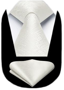HISDERN Cravate Beige élégantes Classique Cravate et Pochette Homme Formelle Cravate Homme Mariage d'affaires