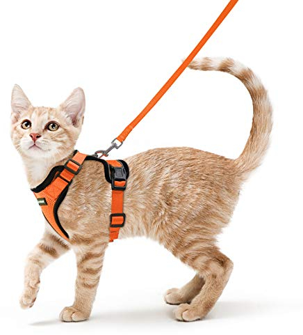 rabbitgoo Katzengeschirr mit Leine Ausbruchsicher Katzenleine Kitten Welpengeschirr Verstellbar Cat Harness Weich Brustgeschirr für Katzen kleine Hunde Kaninchen Reflektierend Streife Orange S