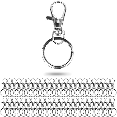 Nyckelring med karbinhake och nyckelringar, 48-pack, med 48 x 10 mm karbinhake med D-ring och 48 x Ø 25 mm delad ring, fickkarbinhake 360° vridbar nyckelring, metallringar