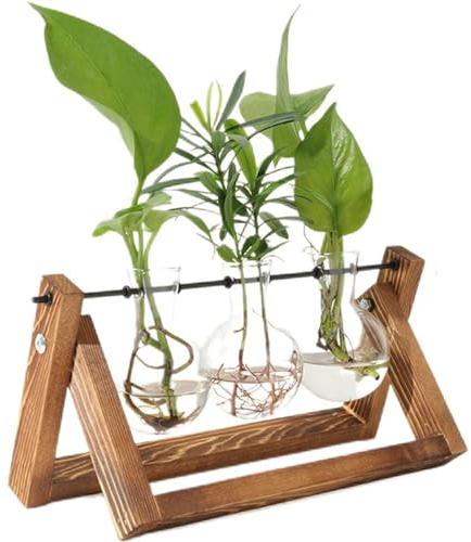 PUWOWYE Station de Propagation pour Plantes avec Support en Bois, Vases Ampoule en Verre Vintage, Vase Plante Hydroponique, Cadeau Fete des Meres Peres pour Femme Homme
