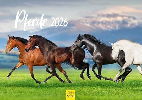 Utgåva Seidel Premium kalender hästar 2026 format DIN A5 väggkalender hästkalender djur föl sto hingst ponny