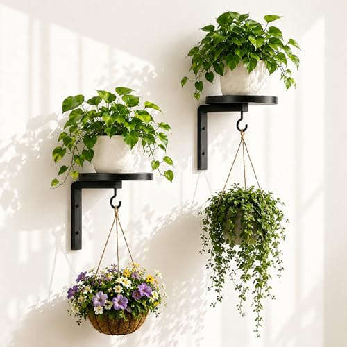 Lot de 2 Supports Muraux pour Plantes, Porte Plante en Métal avec Plateau Rond et Crochet, Support Mural pour Pot de Fleur, Étagère Plante Murale Intérieur Extérieur pour Balcon Salon Salle de Bain Te