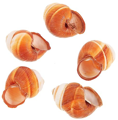 ERINGOGO 5pezzi Gusci Di Lumache Da Forno Design Sicuro e Scanalature Pratiche Per Mantenere Le Lumache Ferme Per Preparazioni Culinarie Domestiche