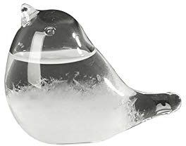 Storm Glass Weather Forecaster, Liquid Barometer Bird Shape Bottle Weather Forecaster Weather Station for Office Desktop Home Decorative Kids Birthday