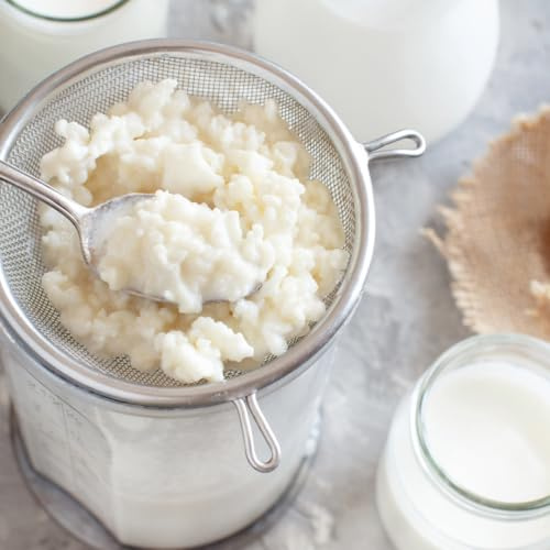 Milk Kefir Grains, Organic, 5g, Compatible with Cow, Goat and Sheep Milk