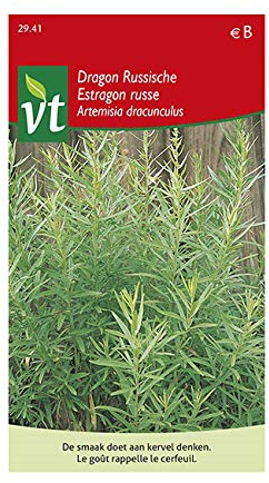 Estragon Russe - Herbe aromatique aux nombreux emplois en cuisine