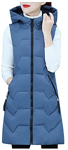 Frauen Casual Solid Weste Mantel Reißverschlusstasche Lose Ärmellose Weste Jacke Mit Kapuze Mode Elegante Weste Mantel Jagdweste Damen (Blue, L)