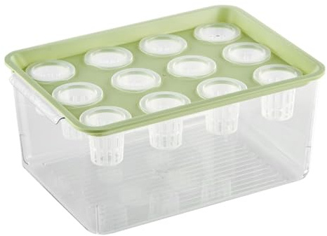 Jardinière Aquaponie et Aquarium Betta Fish, Vase pour Aquatiques et Aquatiques Décoration de la Maison, Betta Aquarium |