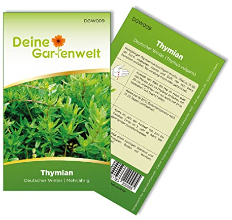 Thymian Deutscher Winter Samen - Thymus vulgaris - Thymiansamen - Kräutersamen - Saatgut für 150 Pflanzen